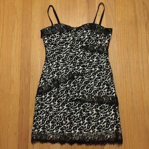 bebe Sexy leopard Prints Lace Trim tiered Dress S